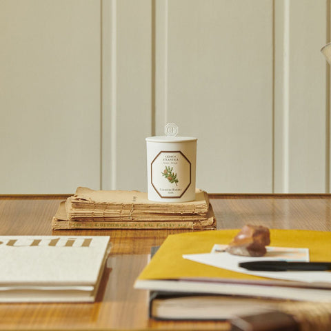 Carriere Freres Porcelain Candle Topper