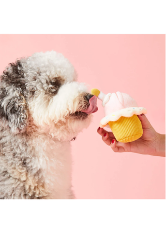 Cupcake Interactive Snuffle Toy