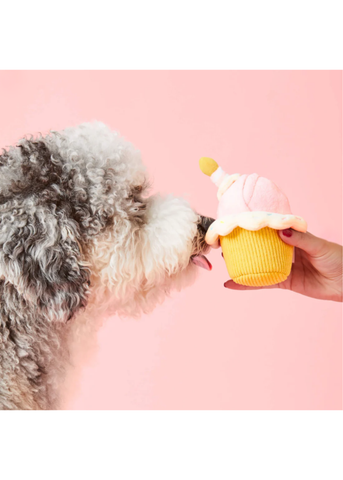 Cupcake Interactive Snuffle Toy