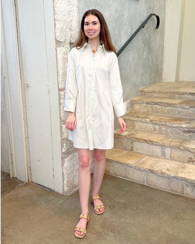 Piper Embroidered Cotton Twill Shirt Dress In Bone