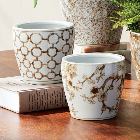Assorted Chinoiserie Mini Flower Pots