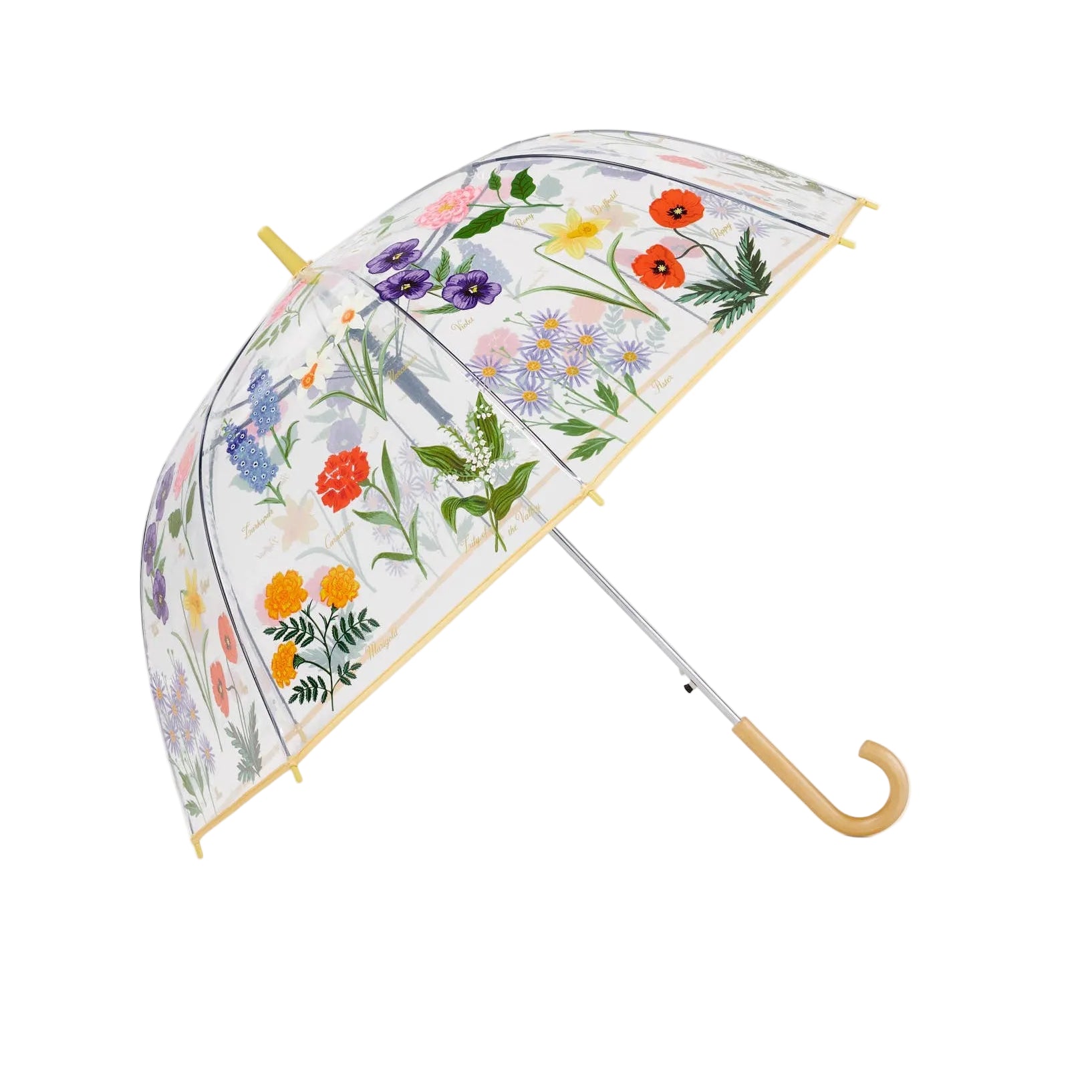 Garden Study Clear Wood Handle Umbrella