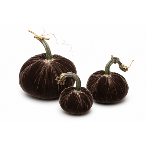 Velvet Decorative Pumpkin in Espresso