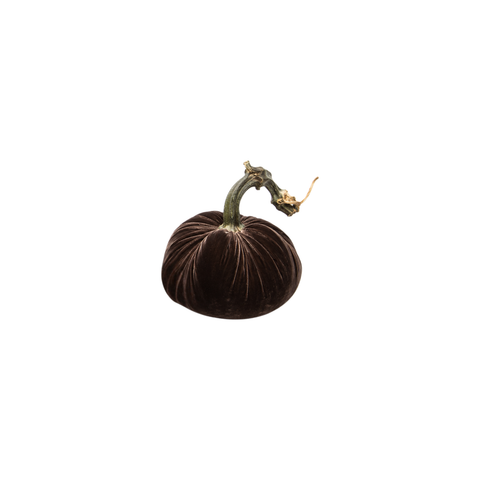 Velvet Decorative Pumpkin in Espresso
