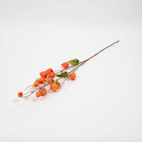 Japanese Lantern Stem