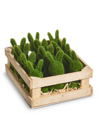 Green Moss Baby Rabbits - Set of 6