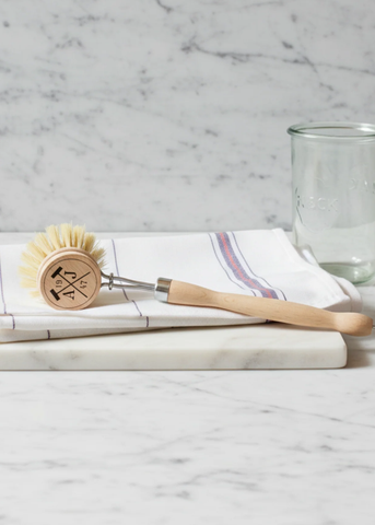 Handled Dish Brush