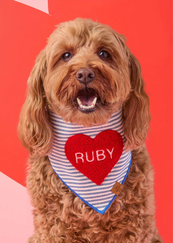 Heart Applique Striped Pet Bandana