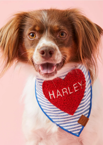 Heart Applique Striped Pet Bandana