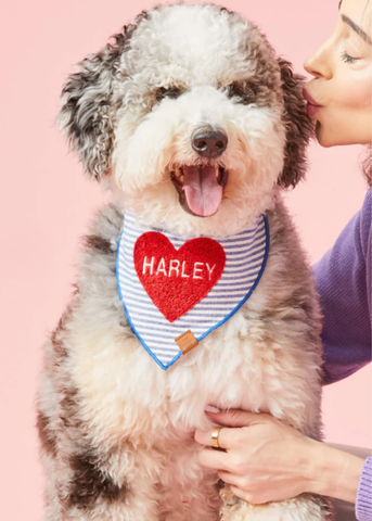 Heart Applique Striped Pet Bandana
