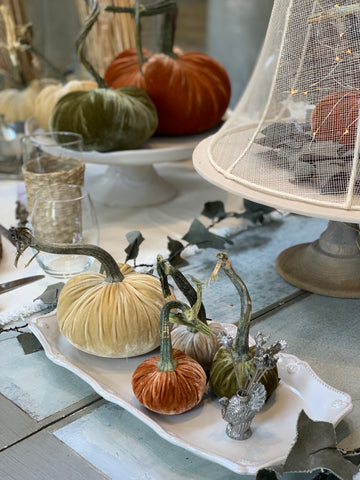 Velvet Decorative Pumpkin in Celery