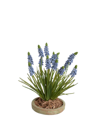 Grape Hyacinth Terracotta Dish