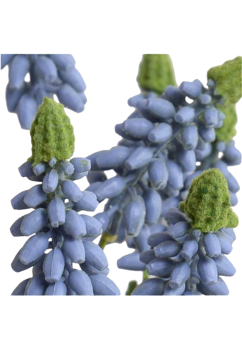 Grape Hyacinth Terracotta Dish