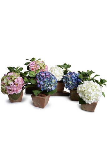 Pink + Green Hydrangea Cutting in Terracotta Planter