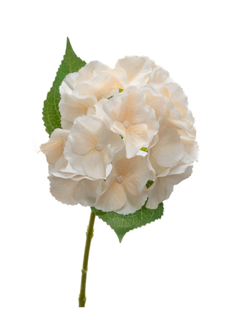 Real Touch Hydrangea Stem in Champagne