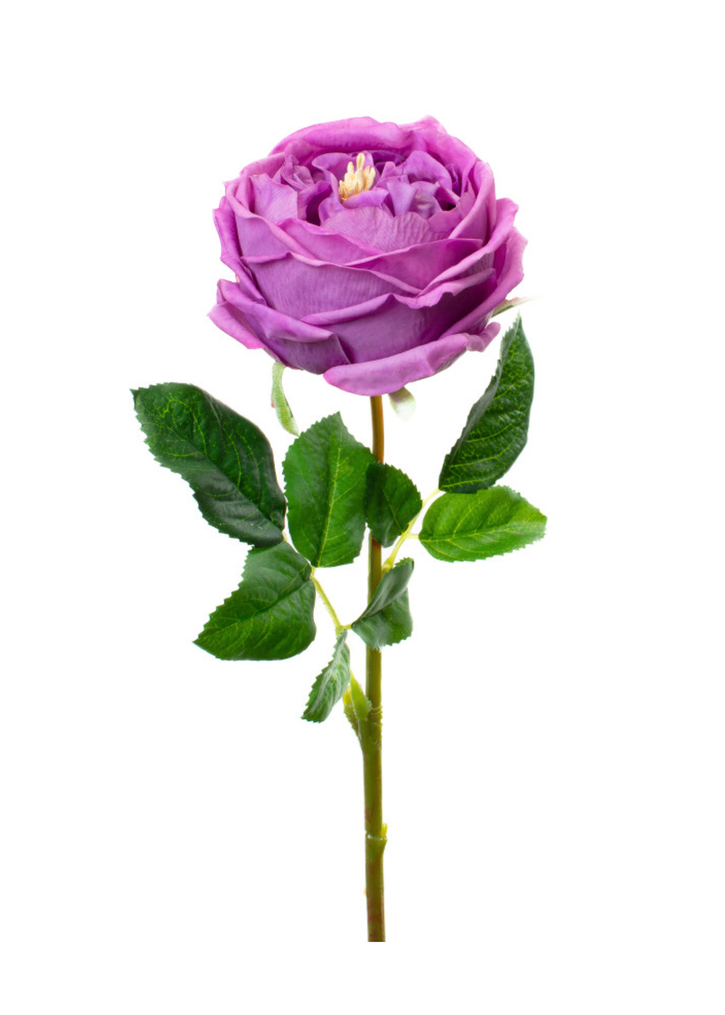 Real Touch English Rose Stem in Lilac