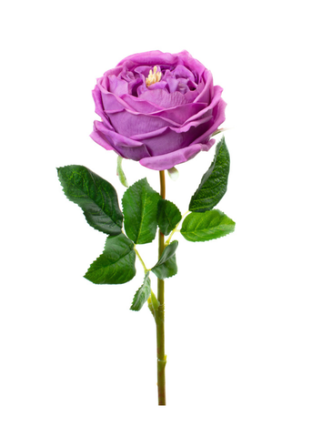 Real Touch English Rose Stem in Lilac