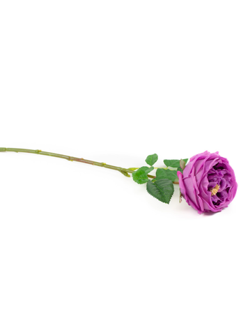 Real Touch English Rose Stem in Lilac