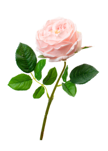 Real Touch English Rose Stem in Light Pink