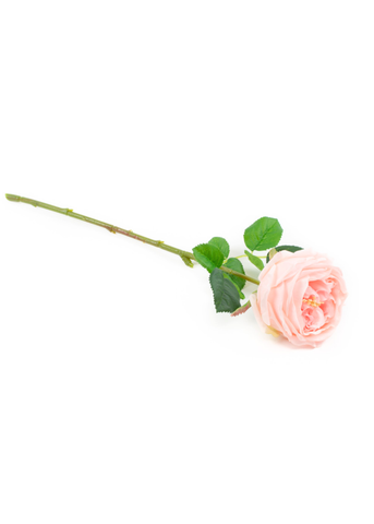 Real Touch English Rose Stem in Light Pink