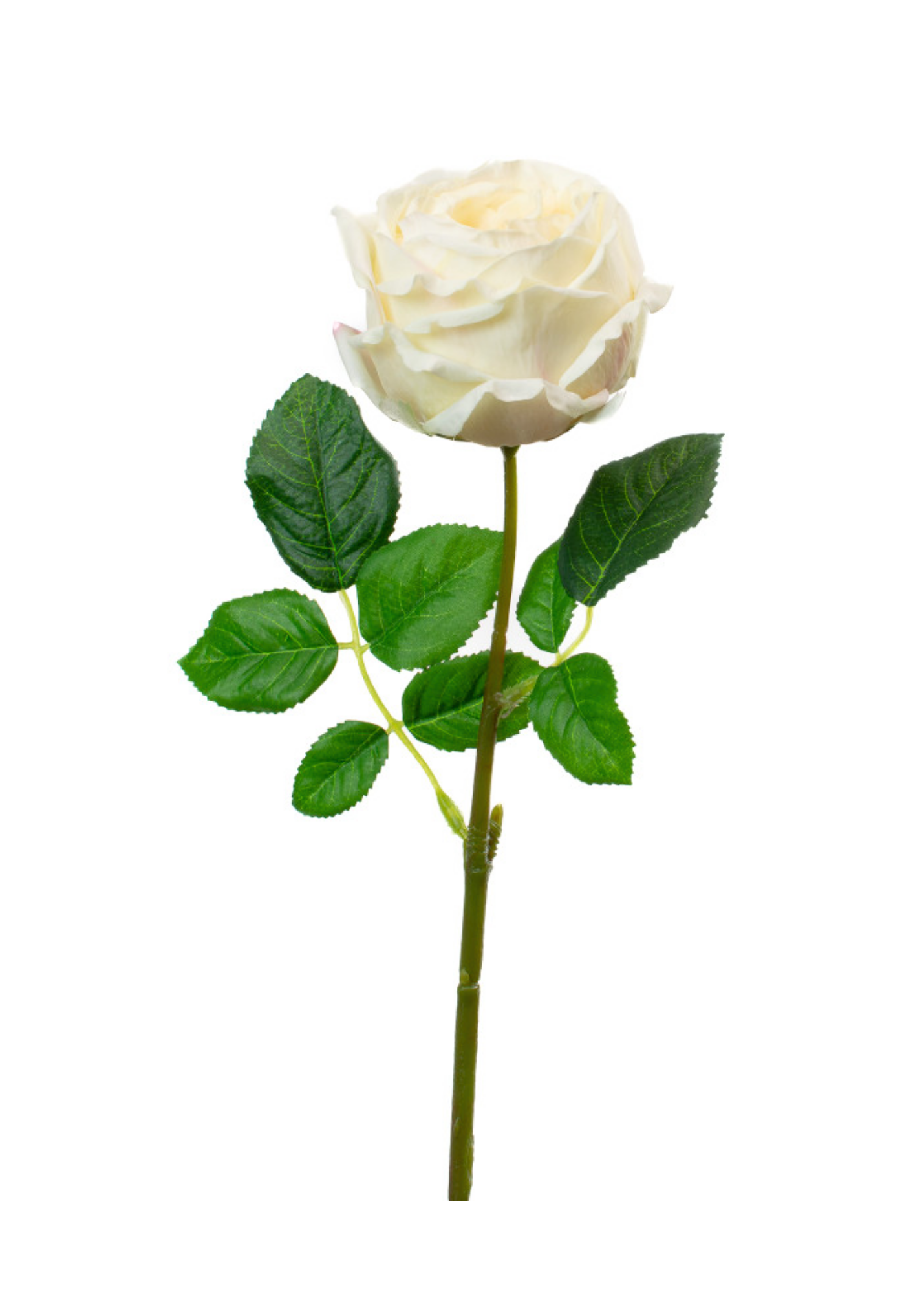 Real Touch English Rose Stem in Champagne