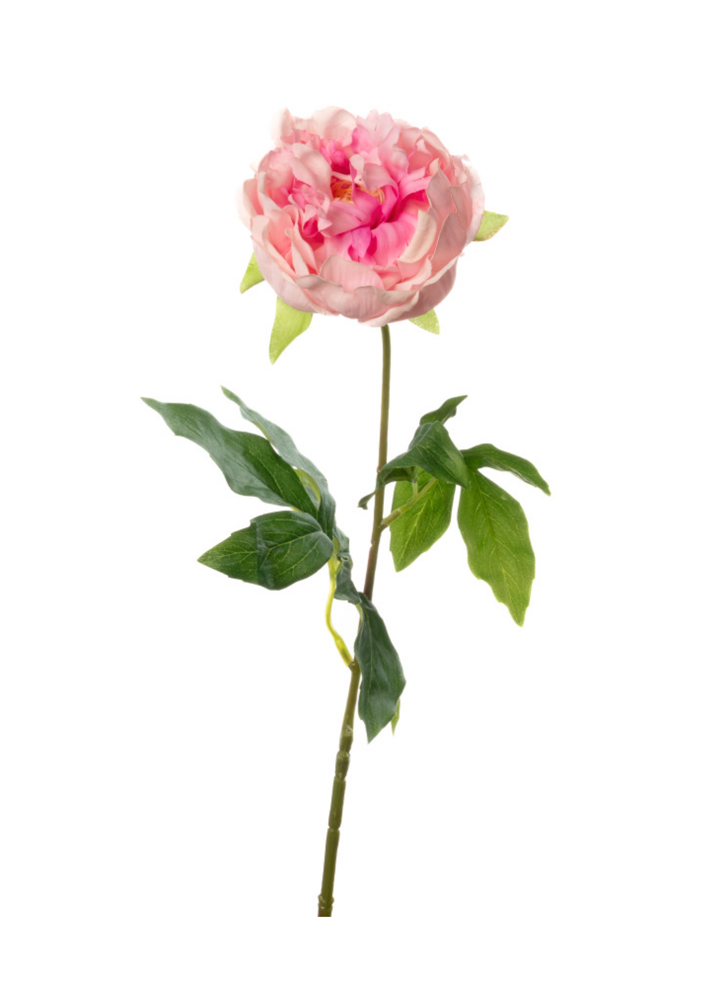 Real Touch Peony Stem in Pink