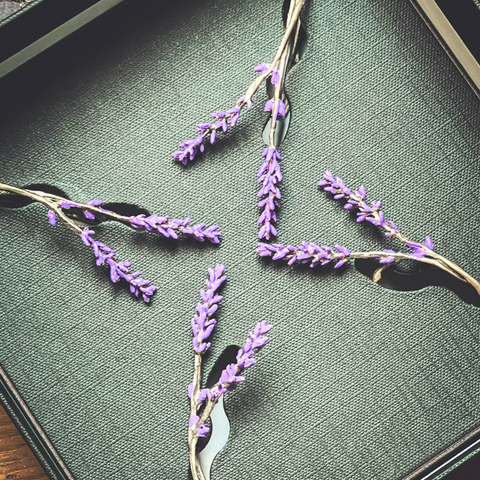 Lavender Sprig Metal Napkin Ring in Brass