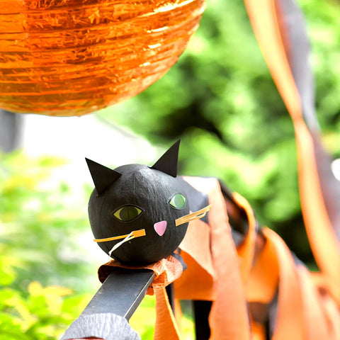 Deluxe Black Cat Surprise Ball