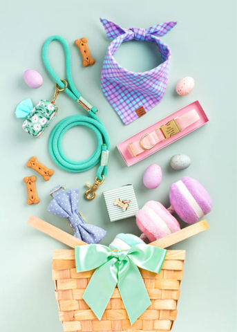 Macarons Interactive Snuffle Toy