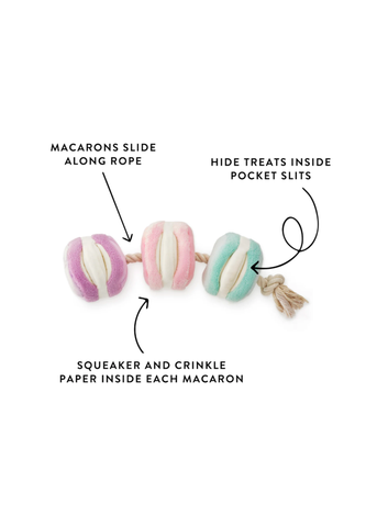 Macarons Interactive Snuffle Toy