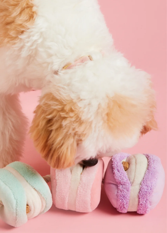 Macarons Interactive Snuffle Toy