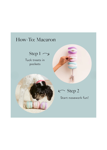 Macarons Interactive Snuffle Toy