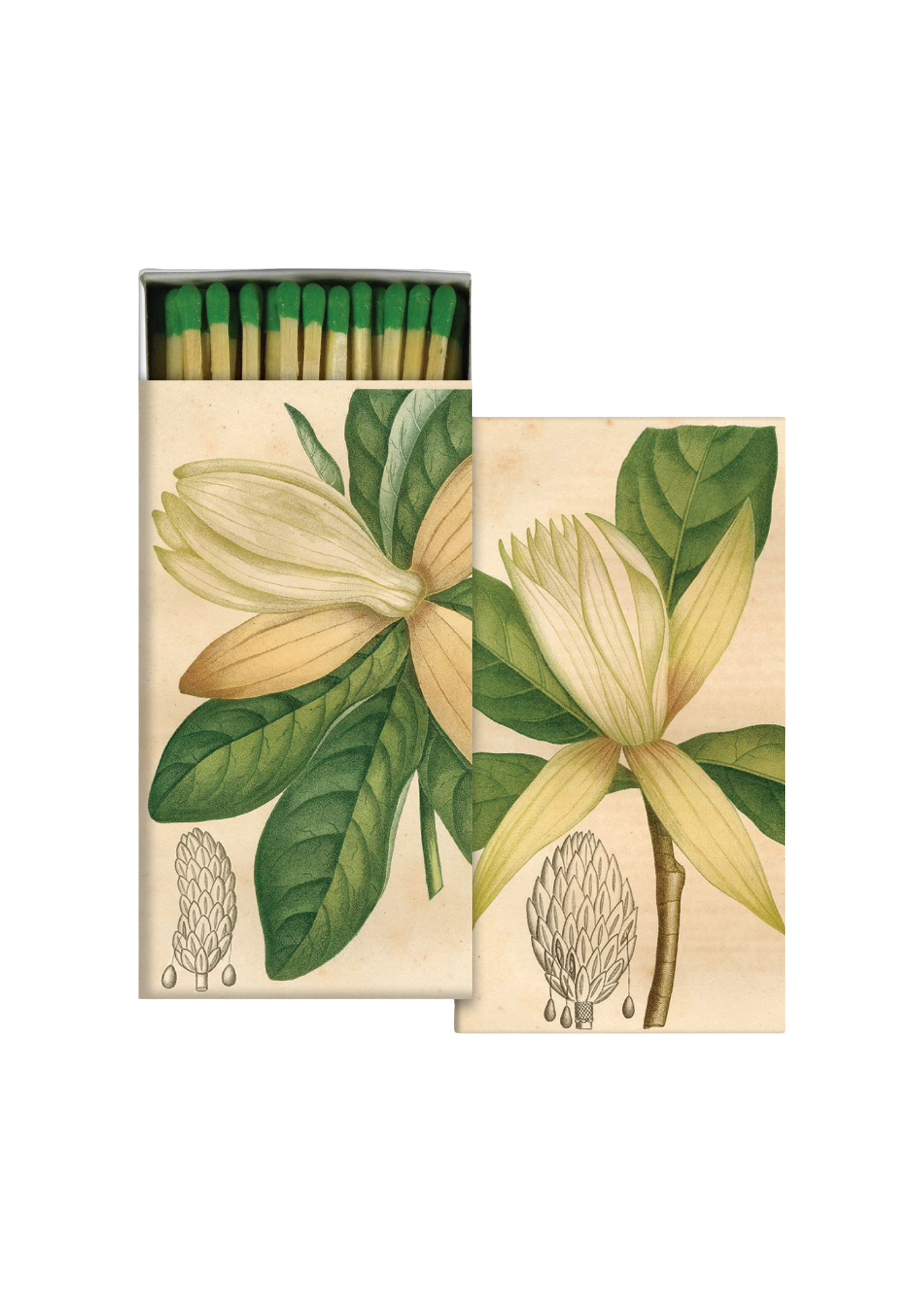 Magnolia Box of Matches
