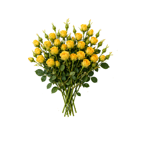 Mini Yellow Rose Spray