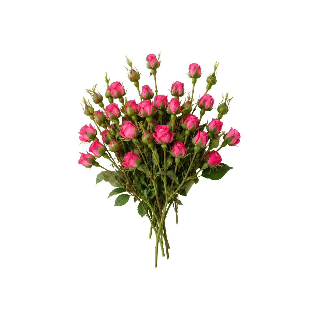 Mini Hot Pink Rose Spray