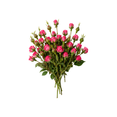 Mini Hot Pink Rose Spray