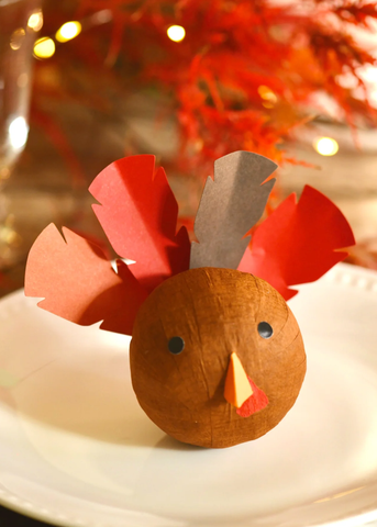 Mini Turkey Surprize Ball