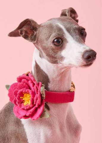 Peony Flower Collar Attachment