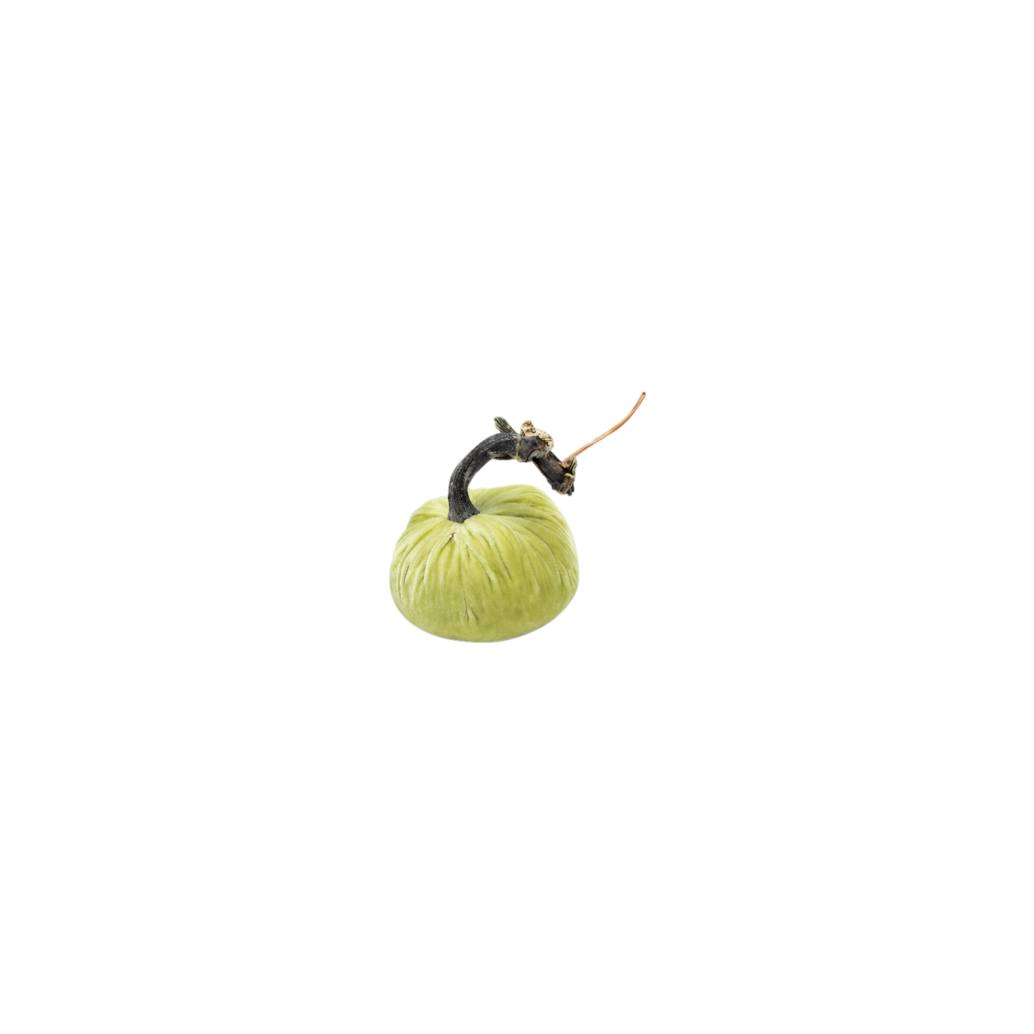 Velvet Decorative Pumpkin in Pistachio