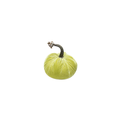 Velvet Decorative Pumpkin in Pistachio