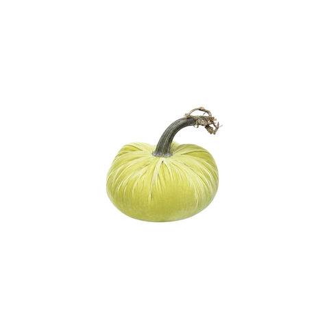 Velvet Decorative Pumpkin in Pistachio