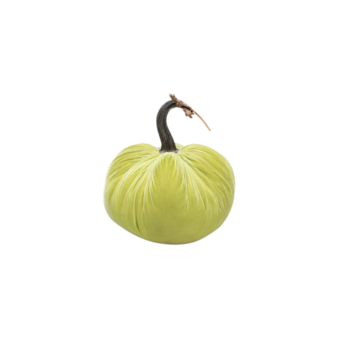 Velvet Decorative Pumpkin in Pistachio