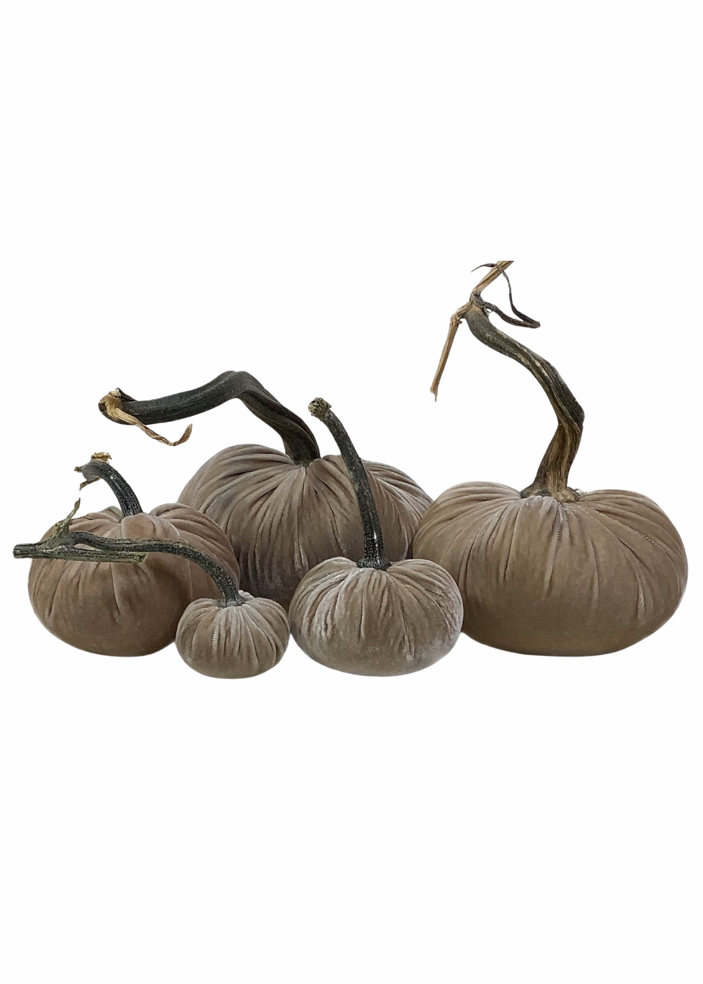Velvet Decorative Pumpkin in Bone