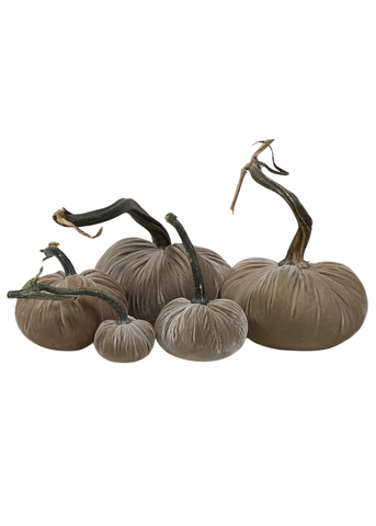 Velvet Decorative Pumpkin in Bone