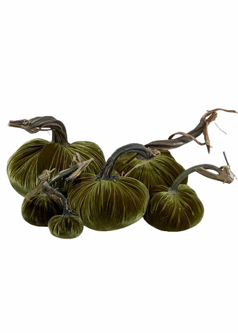 Velvet Decorative Pumpkin in Cactus