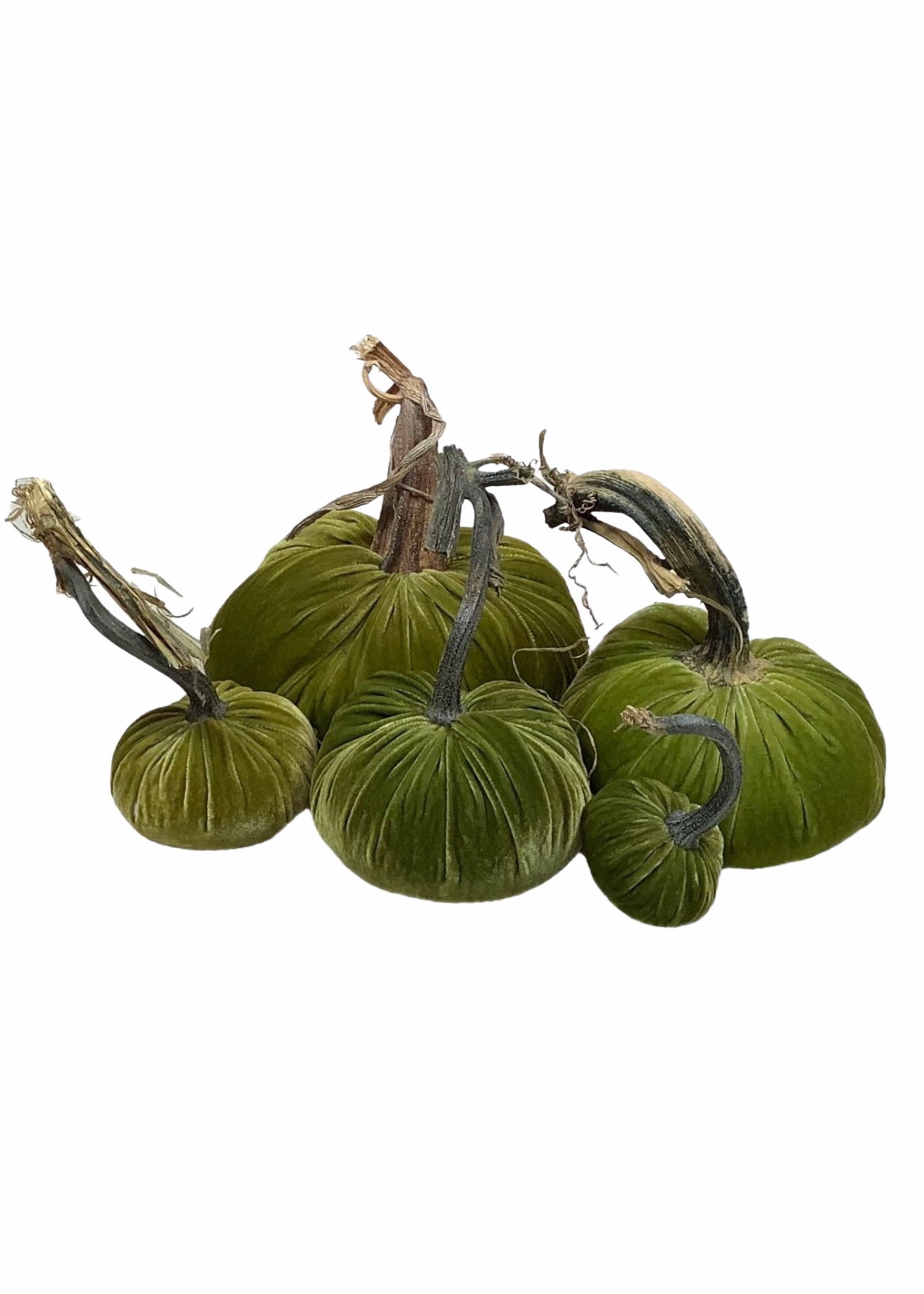 Velvet Decorative Pumpkin in Chartreuse