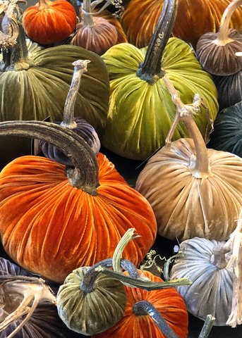 Velvet Decorative Pumpkin in Chartreuse