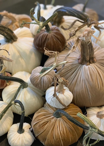Velvet Decorative Pumpkin in Ivory