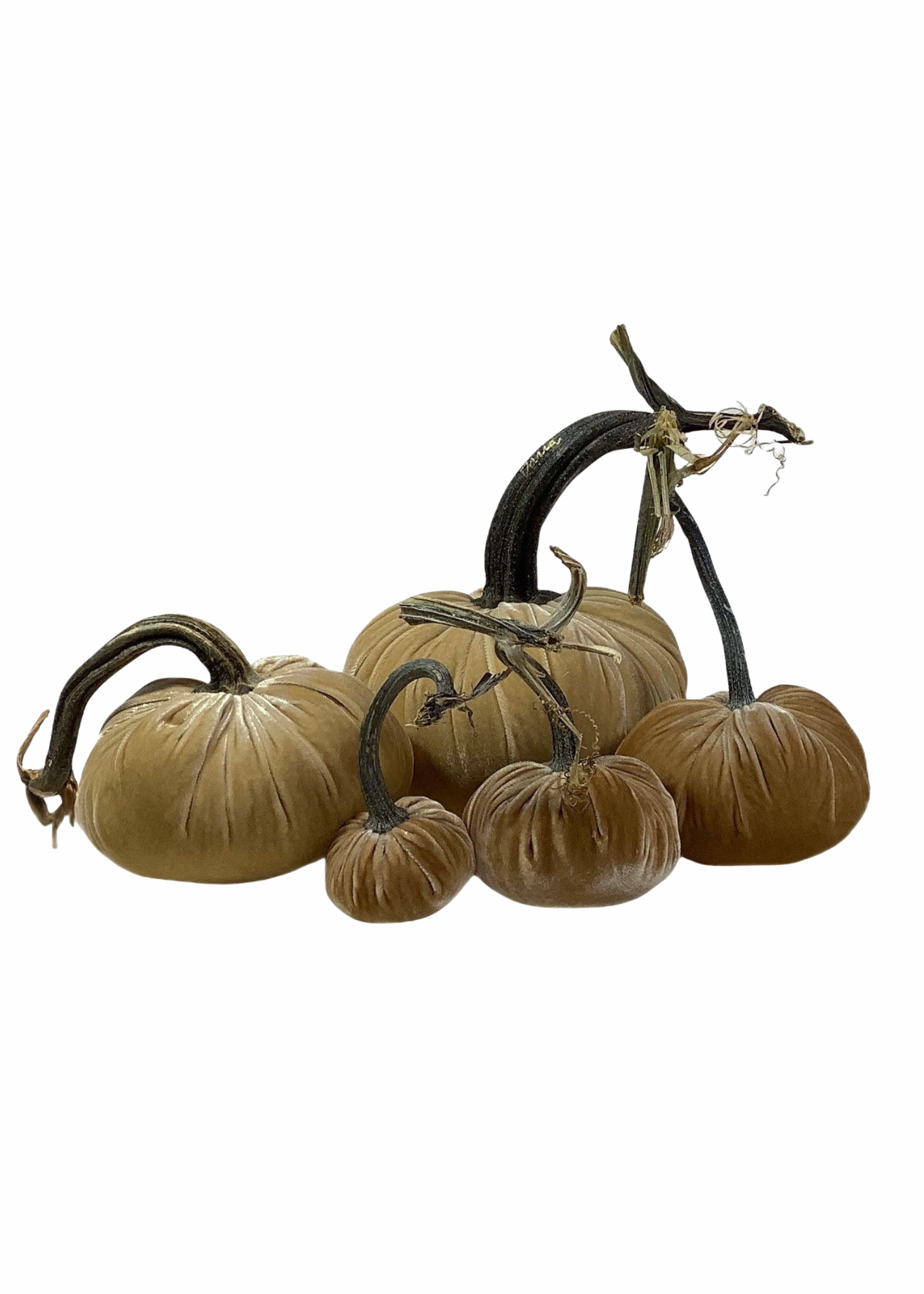 Velvet Decorative Pumpkin in Husk