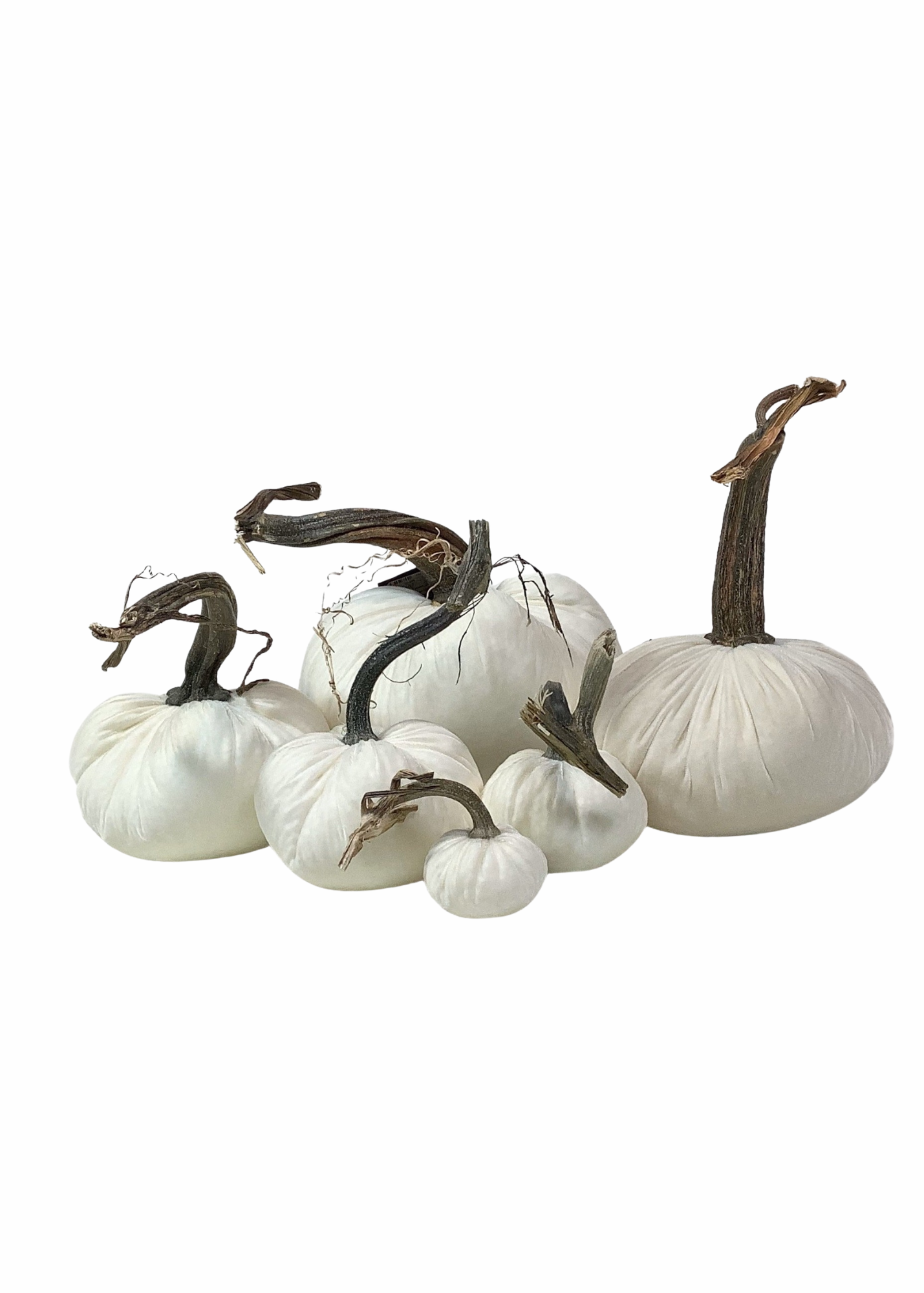 Velvet Decorative Pumpkin in Ivory